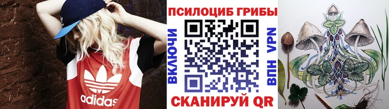 Псилоцибиновые грибы MAGIC MUSHROOMS  Томари 
